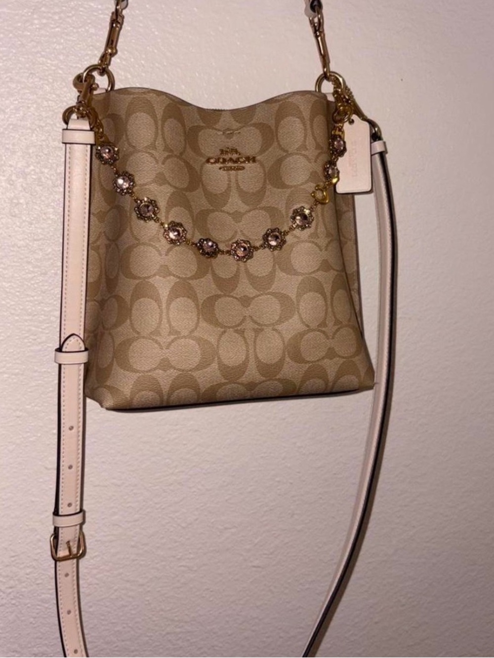 Authentic Leather Coach Mollie Bucket Bag in light khaki/chalk with charm